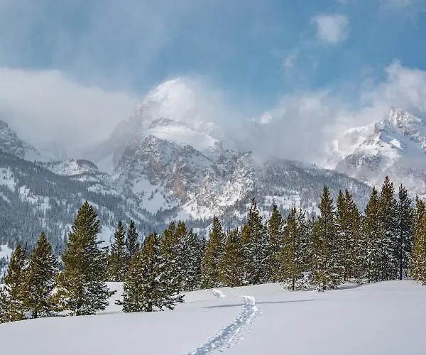Teton *